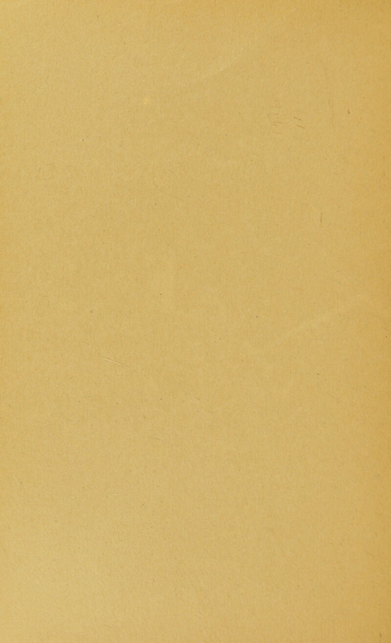 I . . 1—— . I .Tv.- ■■ . |Ut 8 . ■ \ ■ ' ' • / . / ' I -