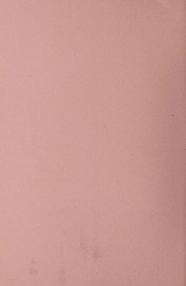digitised image 2