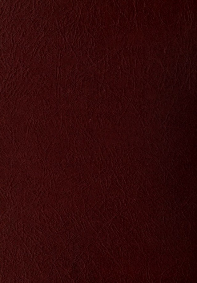 digitised image 2