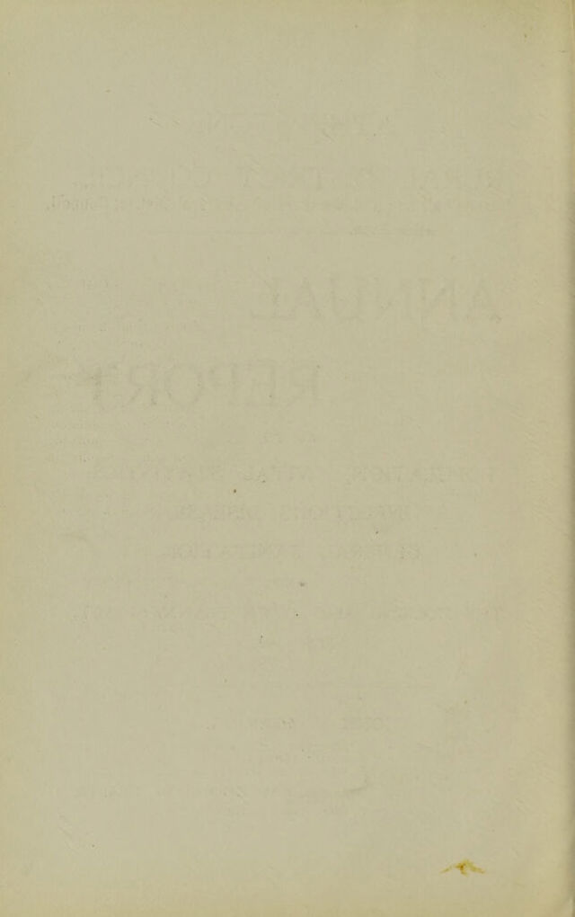 digitised image 2