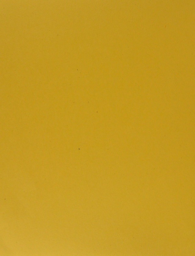 digitised image 2