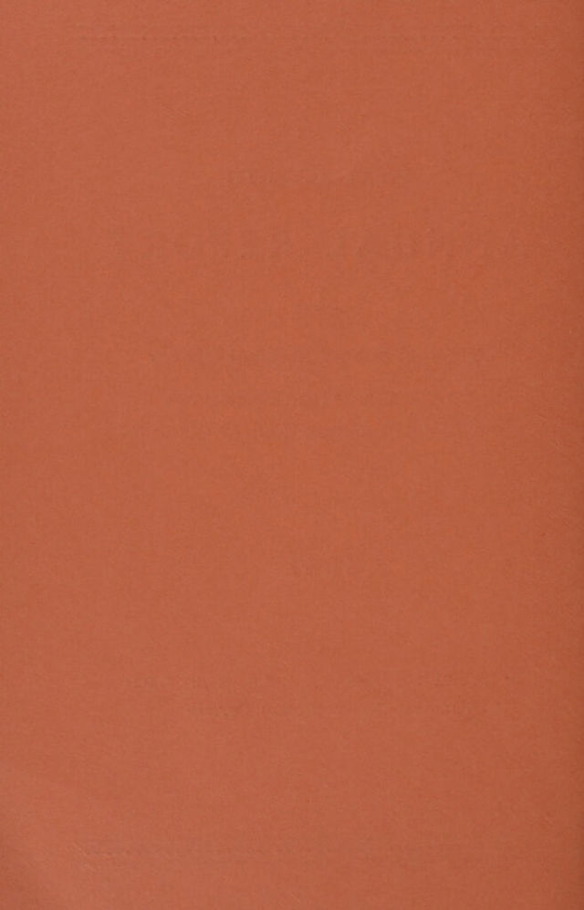 digitised image 2