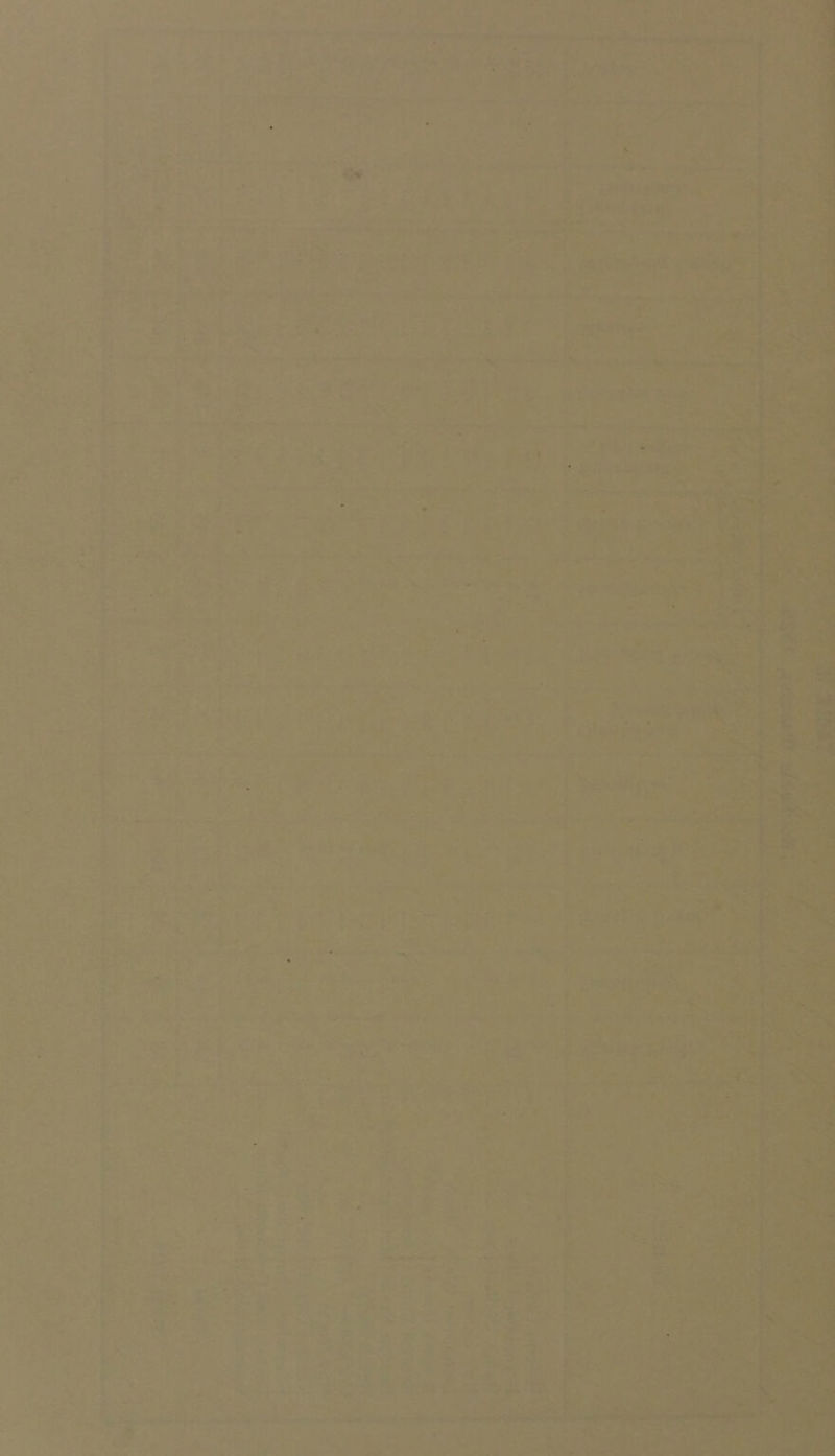 1 ■ i 4 . 4 - ‘ f. ;' H- C‘ ^ ri < '.; ■s . -k \ ' i* • %