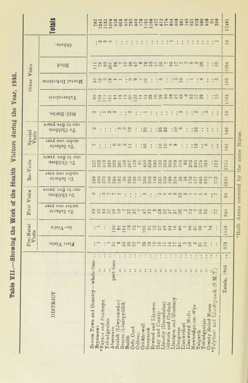 Table YII.—Showing the Work of the Health Visitors during the Year, 1946. Both Areas covered by the same Nurse.