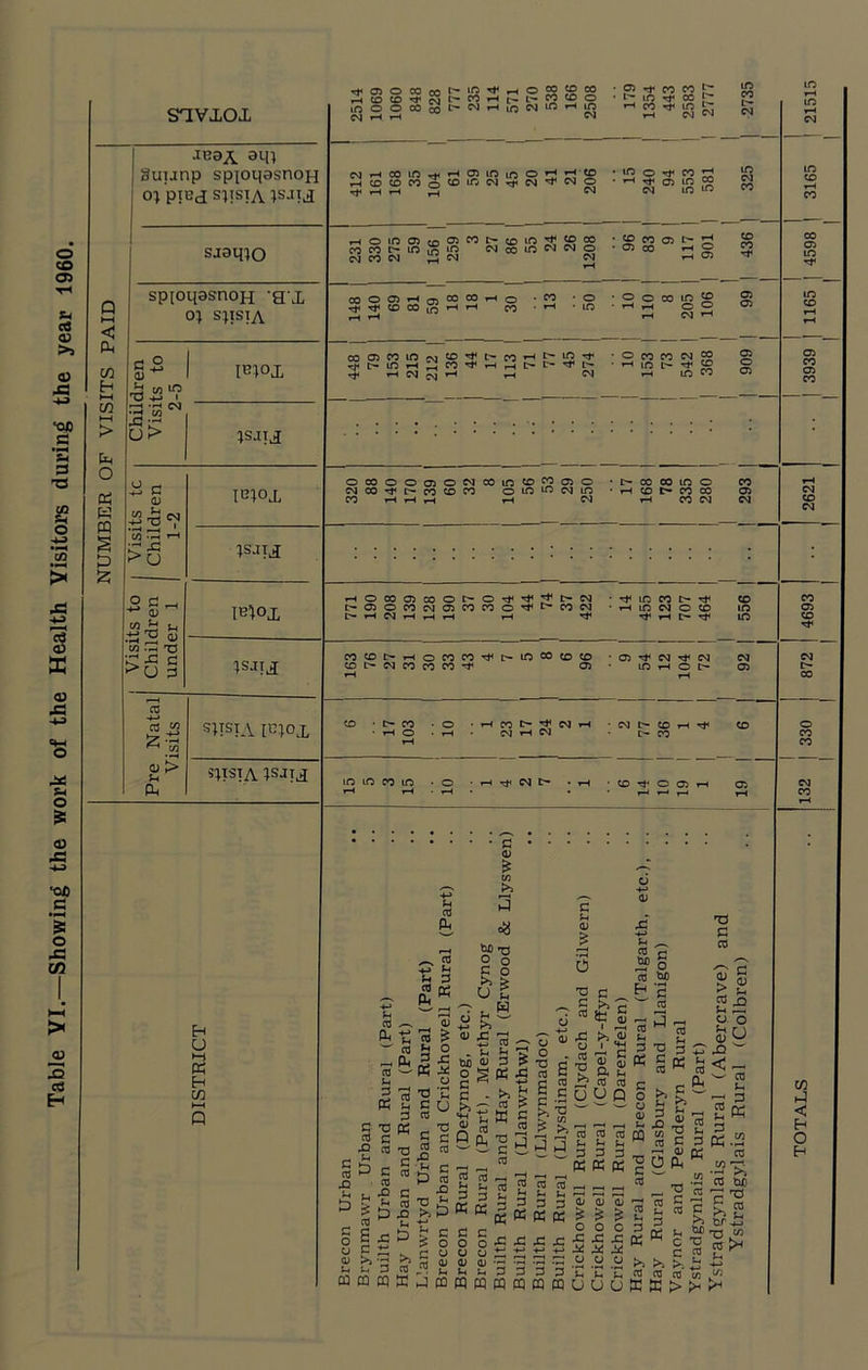 Table VI.—Showing the work of the Health Visitors during the year 1960.