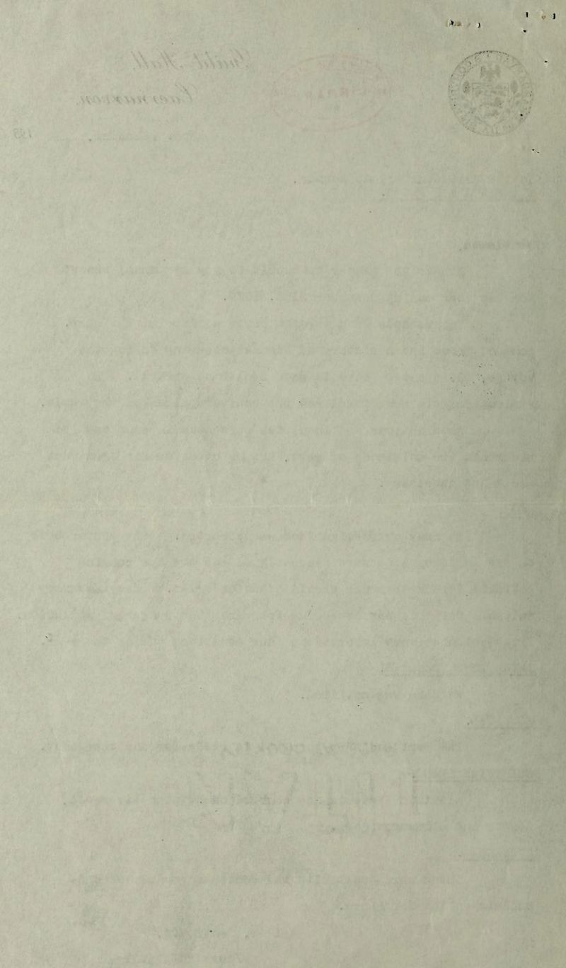 >». * } . \ « ,I .. • V ■ * ' 1 \« . w % ■ :. ■ .••.-•• f •- : ' ■