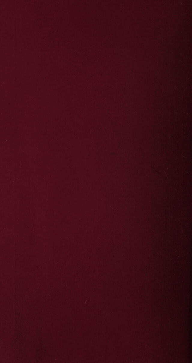 digitised image 2
