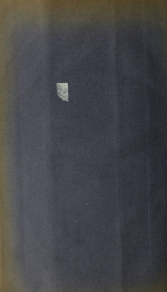 digitised image 2