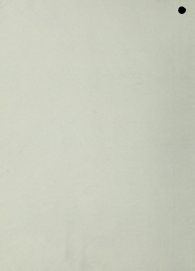 digitised image 2