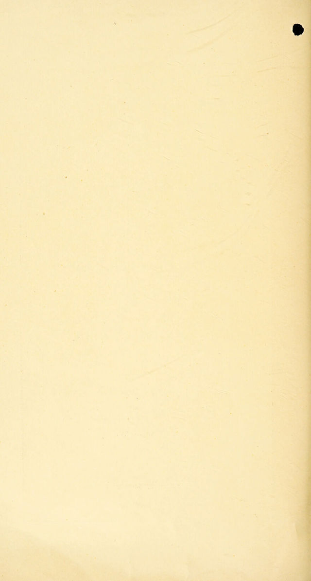 digitised image 2