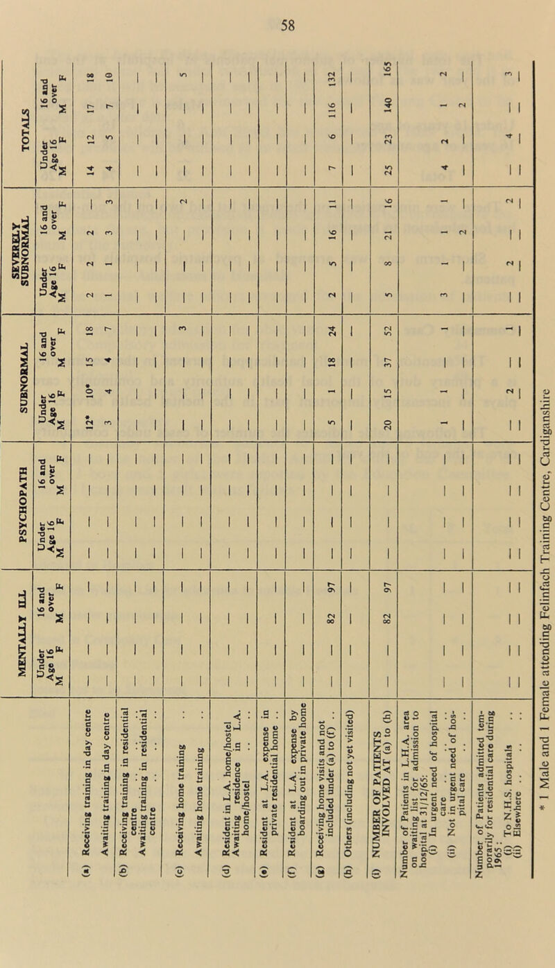* 1 Male and 1 Female attending Felinfach Training Centre, Cardiganshire