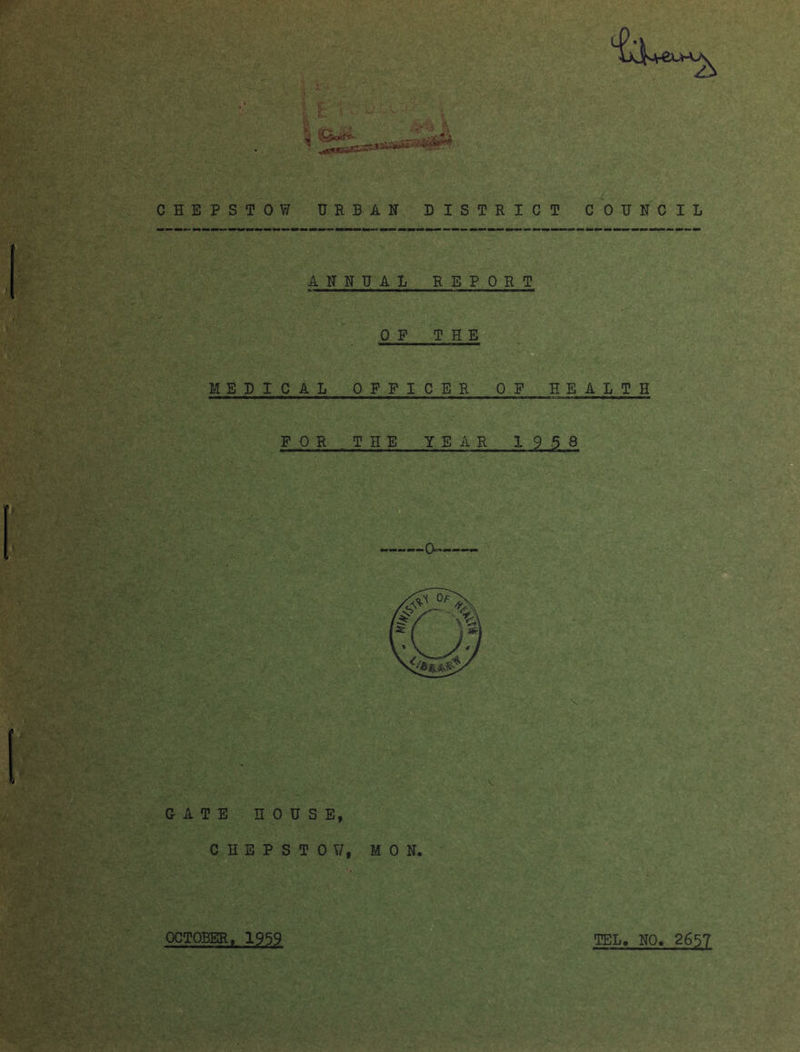 CHEPST0V7 URBAN DISTRICT COUNCIL ANNUAL REPORT OP THE MEDICAL OFFICER OF HEALTH FOR THE YEAR 19 5 8 0. GATE HOUSE, C H E P S T 0 Y/, MON. OCTOBER. 1959 TEL. NO. 2657