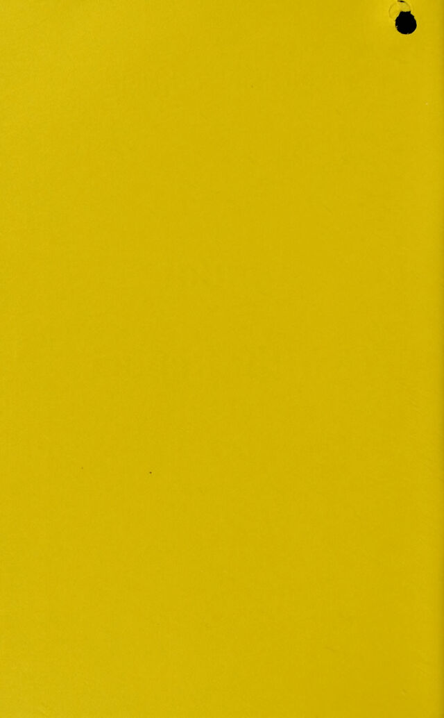 digitised image 2