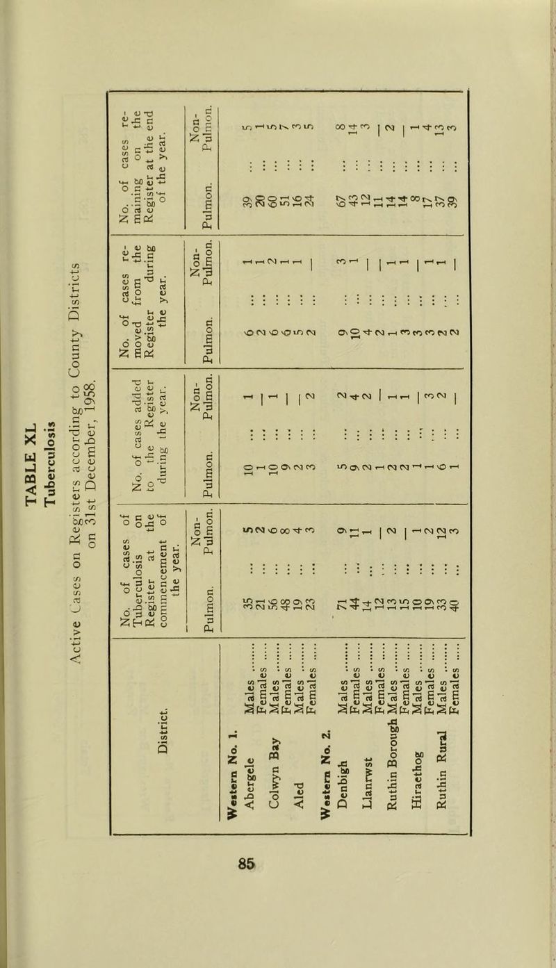 TABLE XL Tuberculosis Active Cases on Registers according to County Districts on 31st December, 1958. *