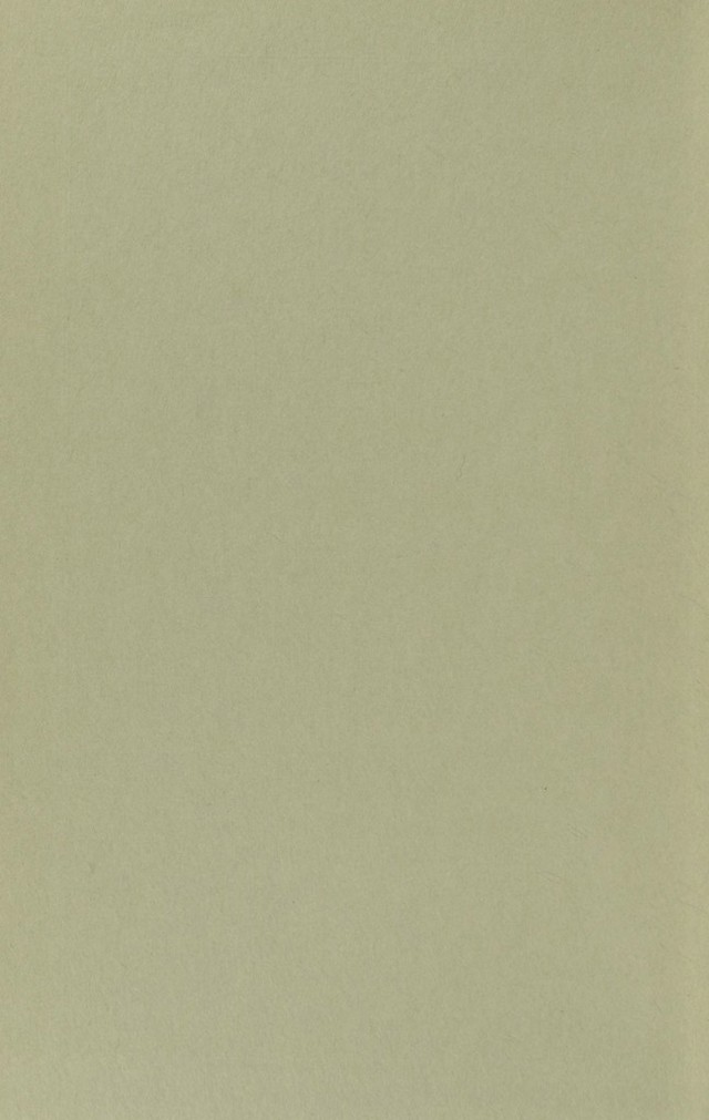 digitised image 2