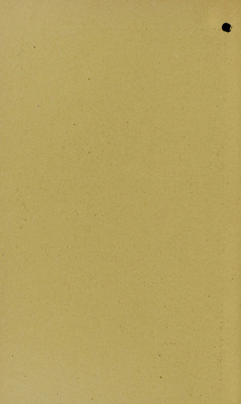 / « \ i , • ■ , -v t / « ./ • I \ ! > ' V J < ’ I . • ► ' t X I K