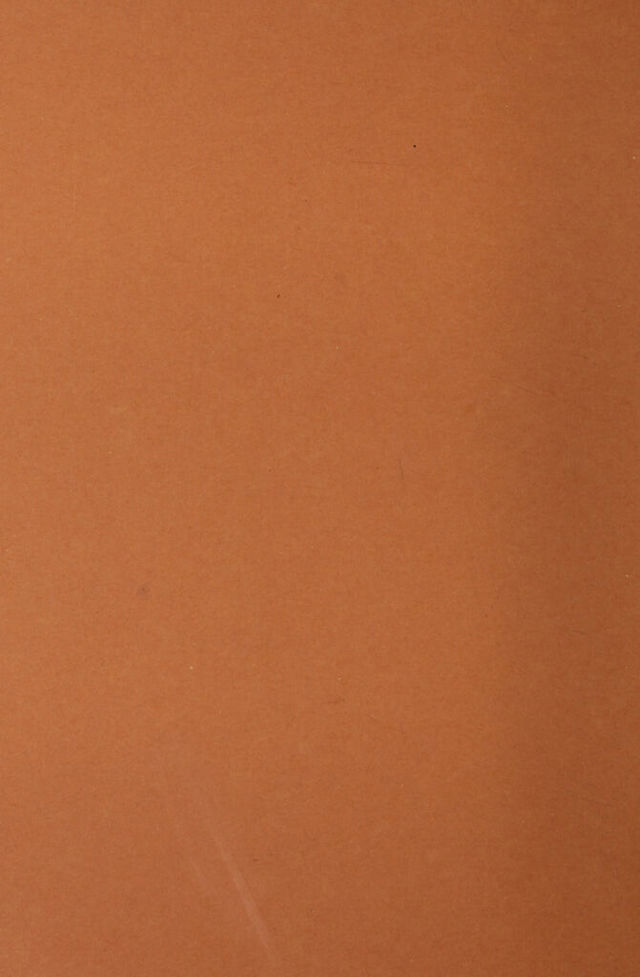 digitised image 2