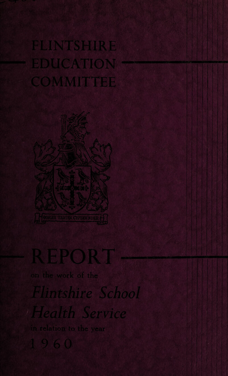 /r FLINTSHIRE EDU^UVTIO COMMITTEE WORAll TAKLW.CYFIAWNDER ■ k-' tpn the work of the lints^e School Healtn ,^^ice in relatiQii to the year 1 9 6 0