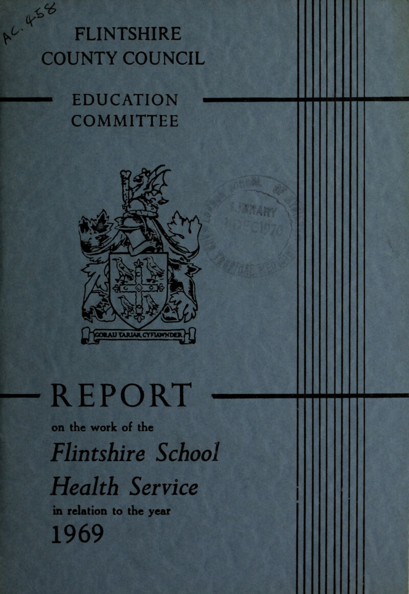FLINTSHIRE COUNTY COUNCIL — EDUCATION COMMITTEE REPORT on the work of the Flintshire School Health Service in relation to the year 1969