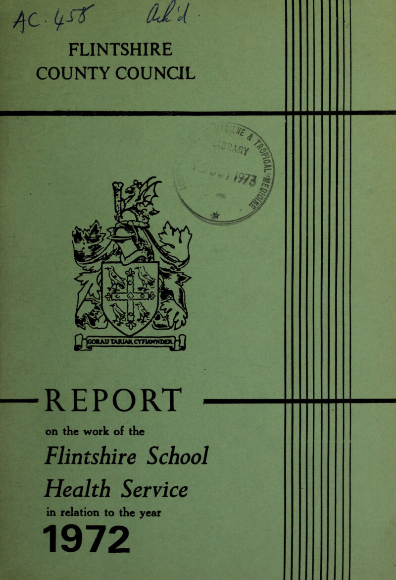 FLINTSHIRE COUNTY COUNaL — REPORT - on the work of the Flintshire School Health Service in relation to the year 1972