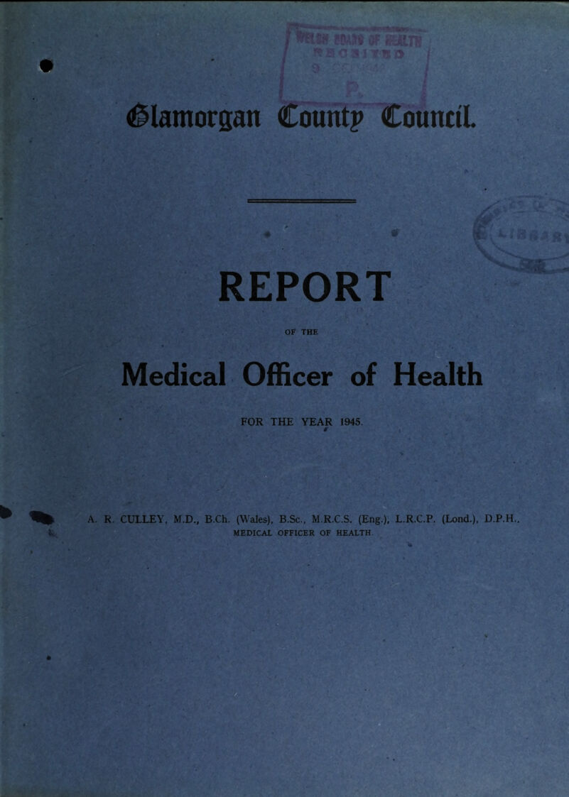o ^lamorsan Countp CounciL REPORT OF THE Medical Officer of Health ’ FOR THE YEAR 1945. A. R. CULLEY, M.D., B.Ch. (Wales), B.Sc., M.R.C.S, (Eng.), L.R.C.P. (Lend.), MEDICAL OFFICER OF HEALTH D.P.H..