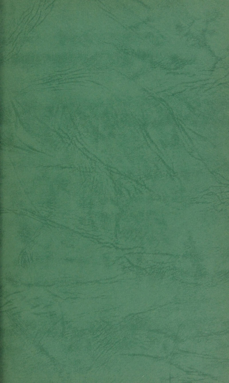 if • * *•■*. fr£a*