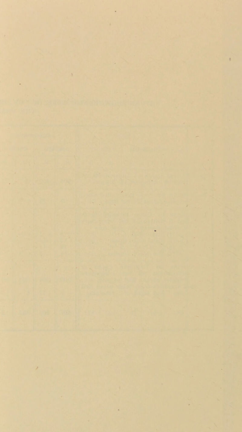 \ W-r*’ V *. V N r .* » ■ ■ • • ,■ .►t i. ' •■' • t •■•• i • ..1 ■ ., *-A. »'• \ I r. j / V .N