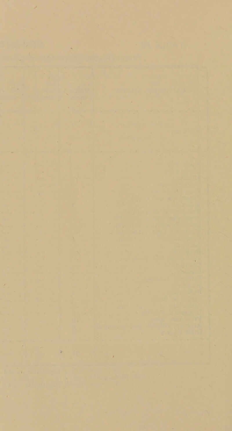 A” if ' ^ Vv V ^ • ^’ ' / ■■ V ' * ■ i ’W H - ••: 'n * ■ -.Tl ’h - ’ / ' * * . ‘ \ •'•il* -»^ k _ • s!* • ?.• ■ • ‘If - J ■ . ' , ' h /• -••• Iv,  t -',. tWv'4^'I -ai^ ..i>|.v -^- - -r.'; ,v '-''^j4' «. -• -It* V - • ■■ i ■ • .-‘^ -.. ,. : '■ ’ .''•^ • -. \ • ■ v^Ms'. -i*-' '. '‘•*A> ■'/'-'t:.- ^; ■,:f^ .gf '■ ' % ; i?' ■ ■ •••^? ■ ; ■'; „ ■•■ V , • /. '5 :;;;,'t,v- ’ • ’it J Vt ^ •‘■’ V;L..: '■ .'S > ’ I ' . I , ,, -7 t# -■'t.'rj^-~r ■- - •■■•., <r- I '■ ••I i ' .7'' « •'. • ' r ' . • '*i^| •M‘. - • •■• ;,V <*'' '’■ - /-- t Jthl. . ^ . f •>^ V'*. •’ .t V’ .iv^ -^l1 -. A ■ 'fl' '' i-’I*’’i' '‘'\- - ■ .!■•■“ ' '.,, 'P '■ , ^.r. \ ■ • . ', - V • V •■ . . \ f '*; '■*'* ft/.'- -'5#^“* ^ ' ‘.r'* : • ( r ■-■ . ’st ' .^>1- I '' A ■ ■'' ■■■' ■■;»■ . 4'*«r tv,. V ..H ' 4*^’ ■» ■'y .'- ‘ t- ': . • • ' -ii .- *-•» - •■ T’'V-t.r&ruy .v'.^ ^ f^F^Cs i: mi K- V-. *,i. • .'' ■ / J' . ■' , ' *. l-si V«.-r ..! “ ' '- ,4. r.-l *1 ■ :r‘''3B(^ ‘.’^1 ••' . ' ■* * • ' • 4’ ^ ■ 1 ’ ><^L' ■ -‘S fS , '.Vvv 4lM ■ , ■ :. ■ ^ V ■ '• S • . . T'‘ -.- ..•■■ '''t.i ' ^ r‘' ..^ ■ / V'-'. • . ,( ■ ji. - ■■ V'-’i -