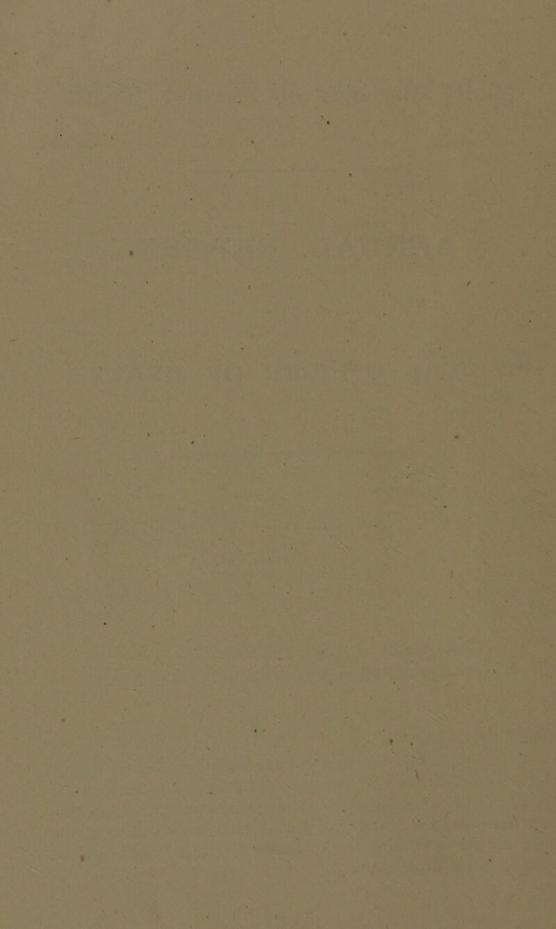 i' • . i ft / ■'»’ J' * ’x ; . ' \'< •Jw ‘} ■ 1 \ ■■ '•*. /•.-! f* X ' .' J •>4 r 4