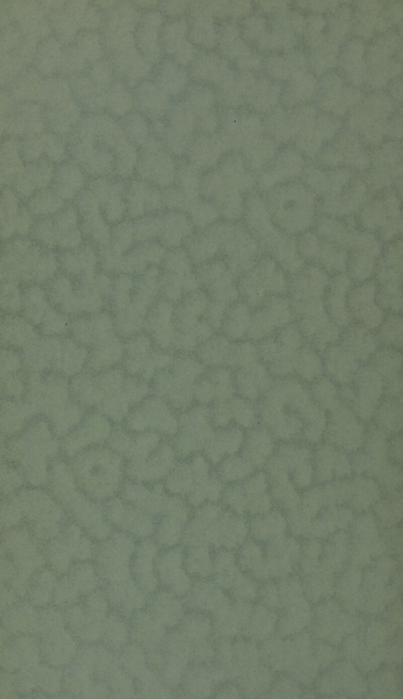 f ■ > V* 1 . ■; ■y **.V' * > •':v ■ i