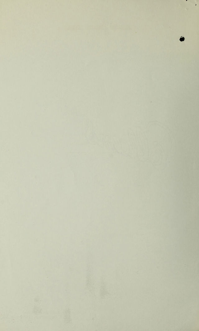 digitised image 2