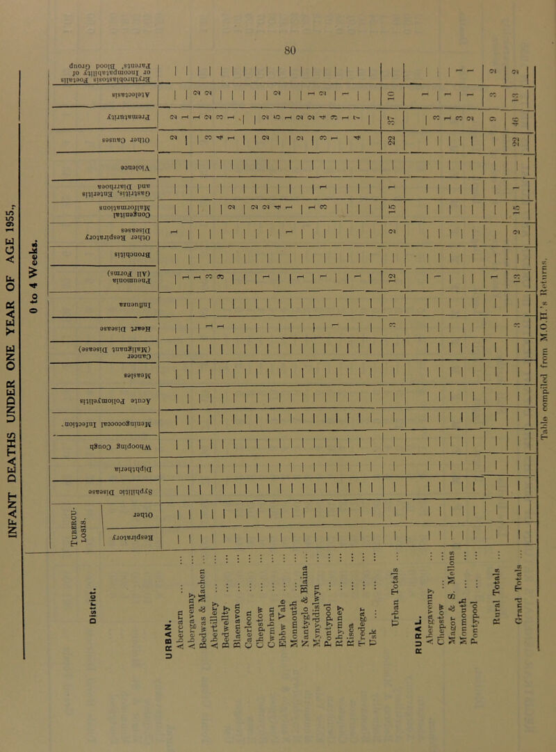INFANT DEATHS UNDER ONE YEAR OF AGE 1955., Table compiled from M.O.TT.’s Returns.