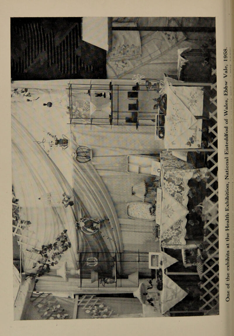 One of the exhibits at the Health Exhibition, National Eisteddfod of Wales, Ebbw Vale, 1958.