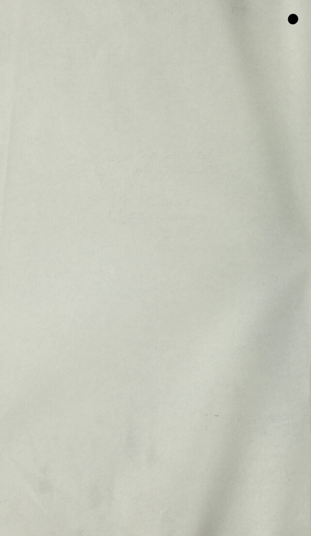 digitised image 2