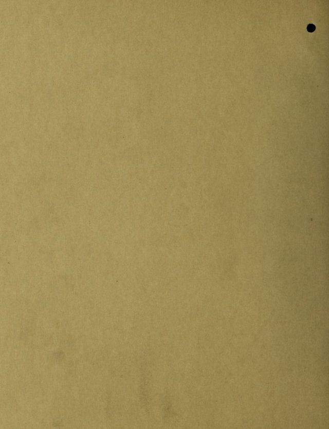 digitised image 2