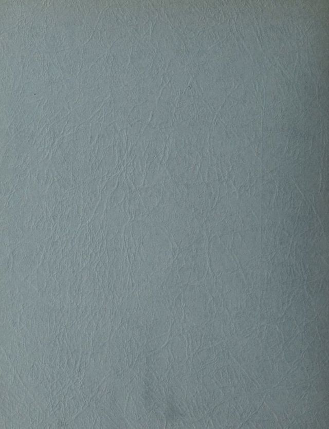 digitised image 2