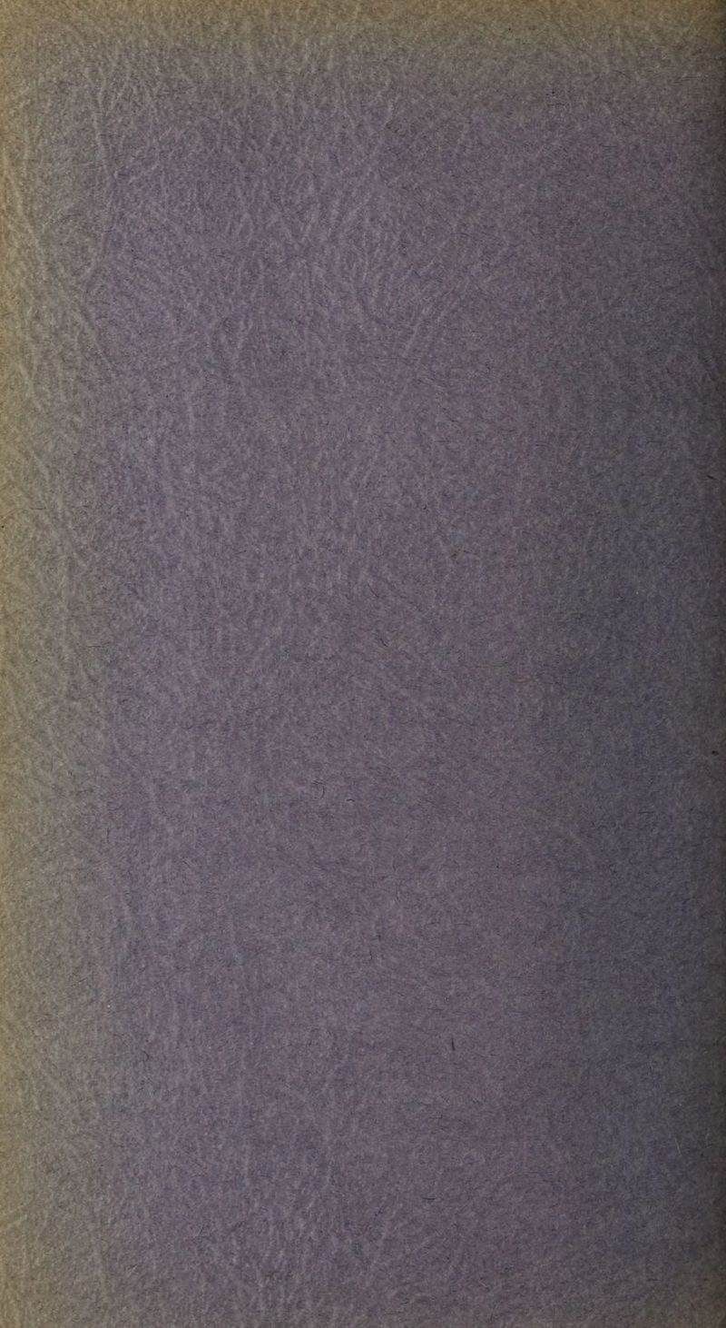 '^-'y -■■ •'-‘'4 t' : .•. 3,;. :■' ’■' ^-. -^ ■ ■::;•• 4r v- 74' 1 - • -: 'r 1* \ ^ j ^ -*■ , '• ^ V*/ - ■'. <■ ..,? r,, -An » .■ 'V ■'W:^S v^K.ji ■-•^ ■-- : v'- K-*-* r ; _ , ^. '-'V.' 4:4,, <Sx4' :' I •'; • -■ . '*r':v>v* ^‘ ' - r'' i - ■ A'y^- ■ .i f> r'* ‘^-1- . i-^>jS '-' 44 ''''4-rs.-:V4,f-?^-4 »-■''•'■ IV'V.-.* i- - >,; - Vi '.'7 V -' \ »■:; . '</ . ' , '-^ ■- ' ./ '• w- * - * •■ ■^■%. .. ■ ,»'•■''tv - i' ^V*- w:.^' . ''W.^---' .»,. .•Jfc' .' - f*. -'l-'-i^ew. :4474#ii