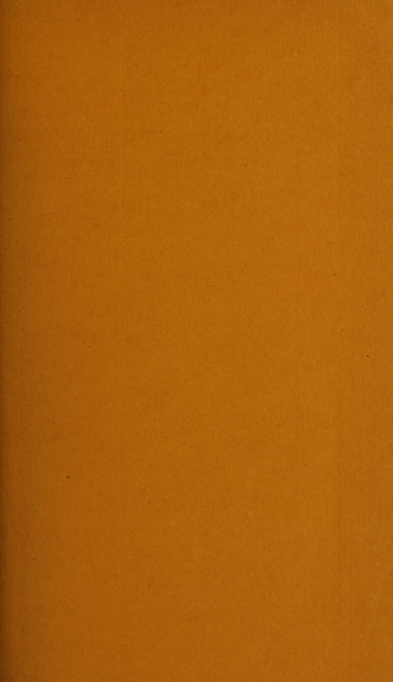 ''■:V''‘S:’' i W' I' .•y 'f'i’X’/ ■■ I I^^Vv m 'aVN;- ... spStlsia:;