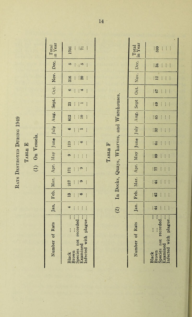 Rats Destroyed During 1949