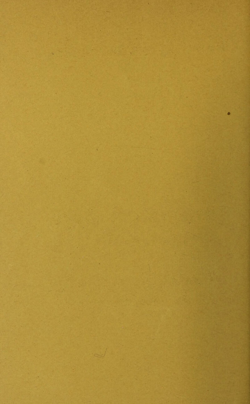 - ' ■ -■ -,v . ’ •\ £ - '<3&/