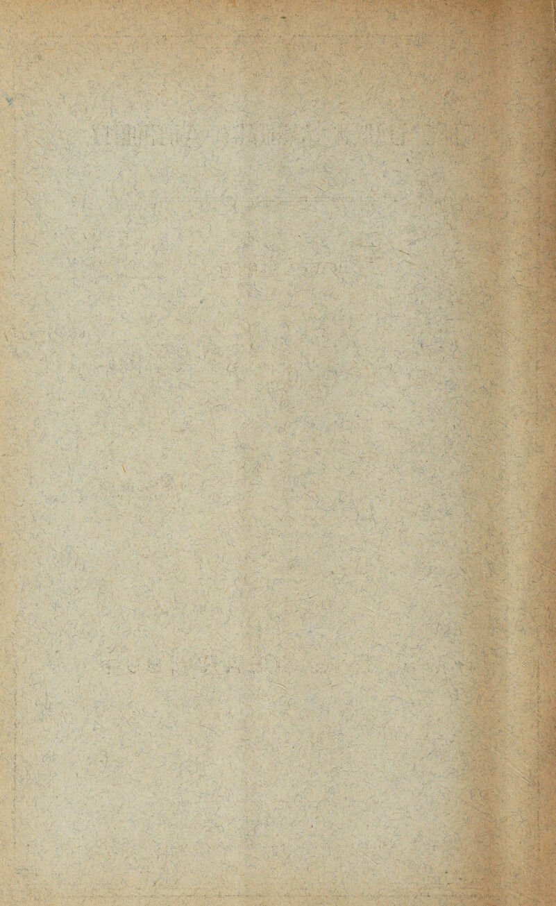 • ;s| “-A1* -s N > . : -l