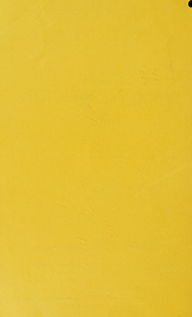 digitised image 2