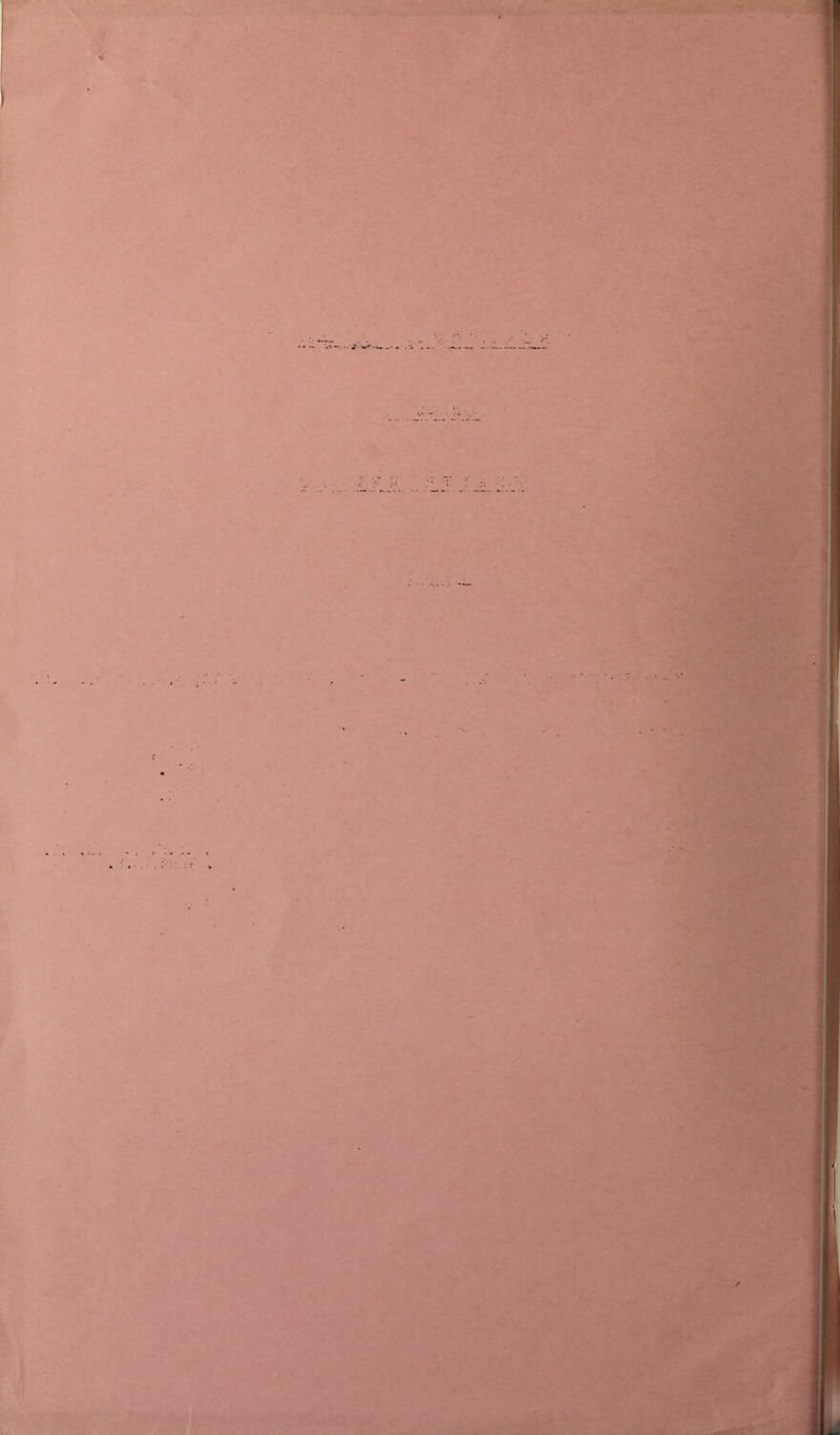 I ) 1 t * t 1: k I ■-l' i / % :i •j 3 I