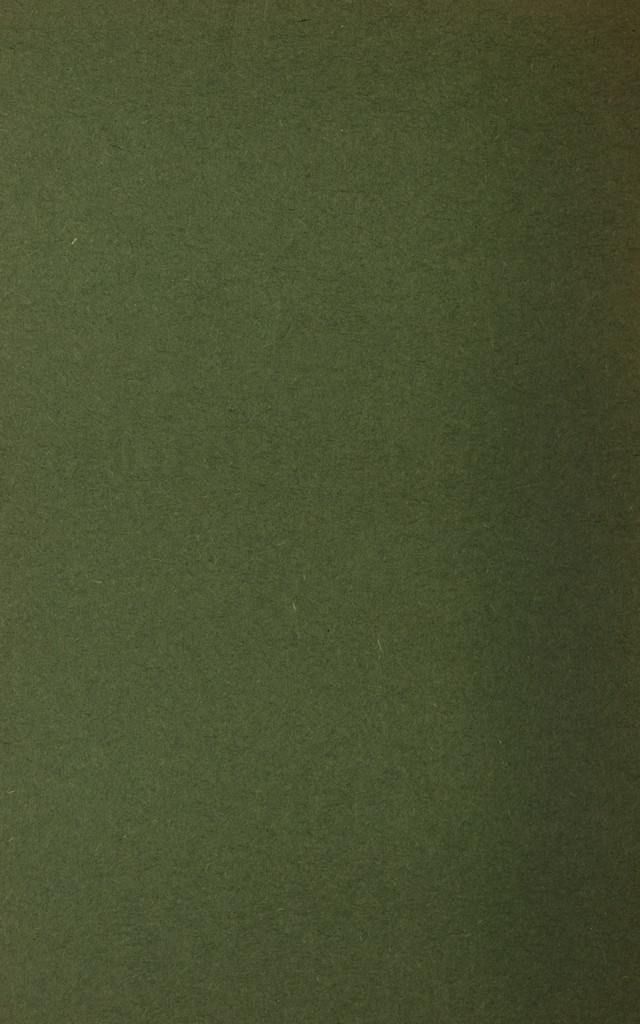 digitised image 2