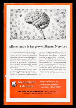 Terapia eficaz en la hipertensión ... Panlittol "Armour"... : Alimentando la sangre y el sistema nervoso ... Meduphites Glanules / The Armour Laboratories.