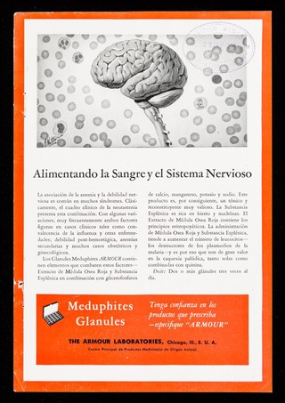 Terapia eficaz en la hipertensión ... Panlittol "Armour"... : Alimentando la sangre y el sistema nervoso ... Meduphites Glanules / The Armour Laboratories.