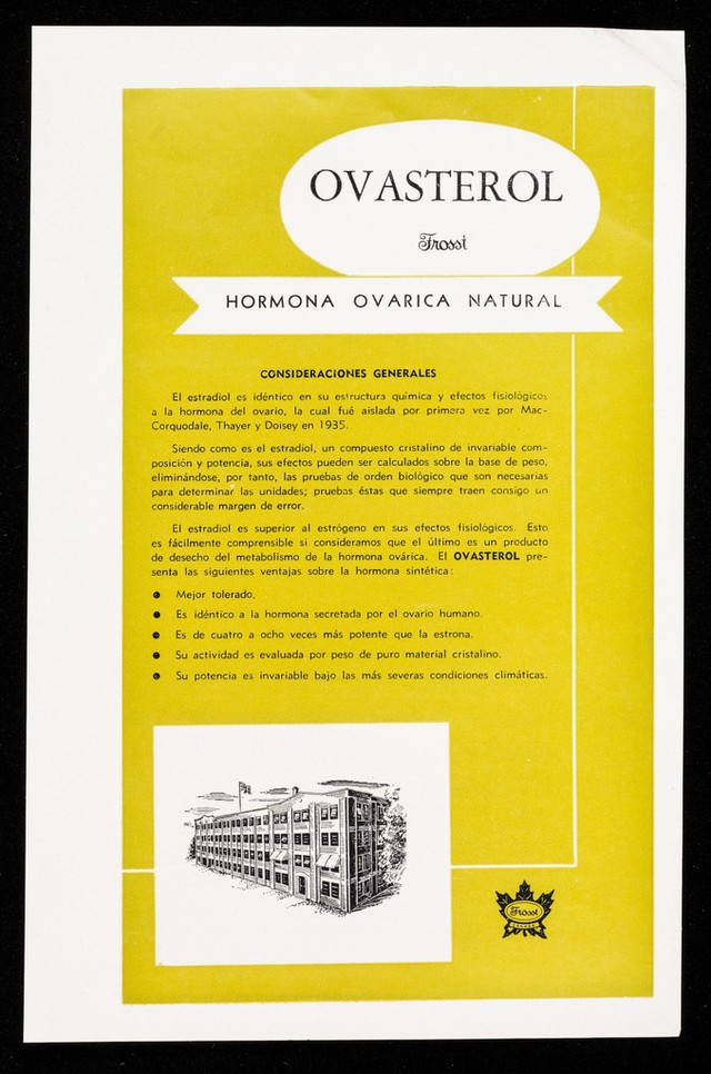 digitised image 2