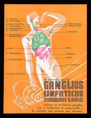 El estímulo que los Ganglios Linfaticos Combinados 'LADA' ejercen en le sistema ganglionar y endocrino es comparable a la energía que genera una dinamo / LADA, Laboratorios Aliados de América, S.A.