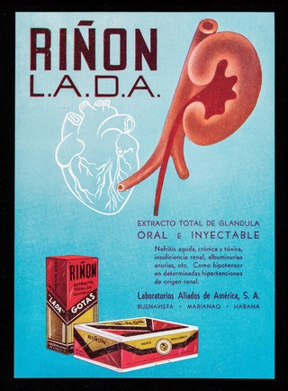 Riñon L.A.D.A. : extracto total de glandula, oral e inyectable ... / LADA, Laboratorios Aliados de América, S.A.