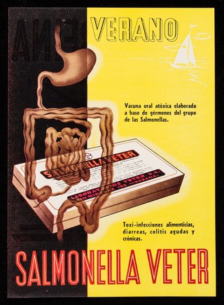Verano, vacuna oral atóxica elaborada a base de gérmenes del grupo de las salmonellas ... : Neuralbeina antineuralgico inyectable ... / Laboratorios Veter, S.A.
